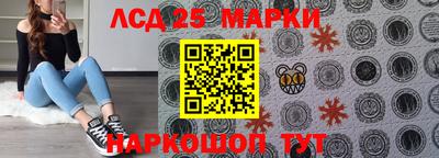 ALPHA PVP Гай
