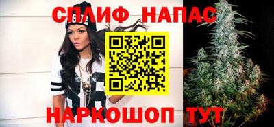 ALPHA PVP Гай