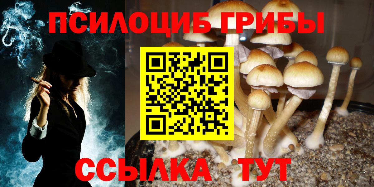 Нефтекумск  Псилоцибиновые грибы Psilocybe  где купить наркотик  Вход с VPN 